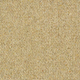 Bardsea Carpet