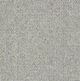 Bardsea Carpet
