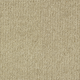 Braystone Carpet