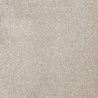 Smart Indulgence Carpet