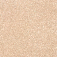 Smart Indulgence Carpet