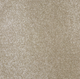 Smart Indulgence Carpet