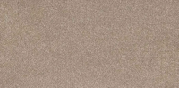 Trident Carpet