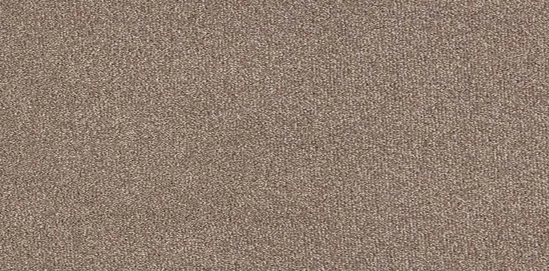 Trident Carpet