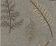 Purely Naturals Flora and Fauna Carpet Collection - Brintons
