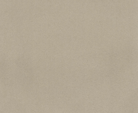 Chroma Collection Carpet - Brintons