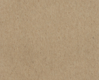 Chroma Collection Carpet - Brintons