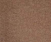 Chroma Collection Carpet - Brintons