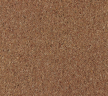 Bell Twist Heathers Carpet - Brintons