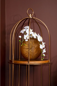 Hadia Vase Collection