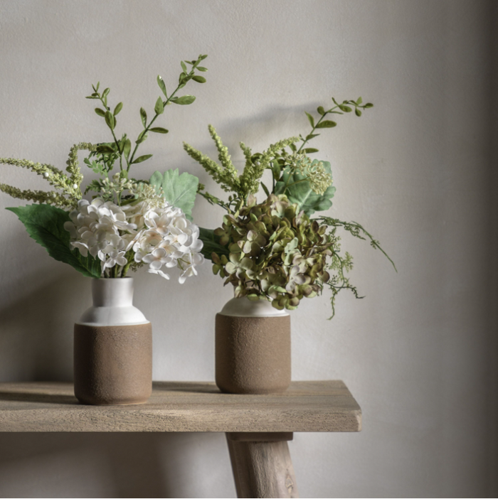 Potted Hydrangea Collection