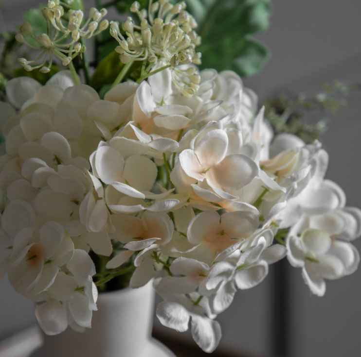 Potted Hydrangea Collection