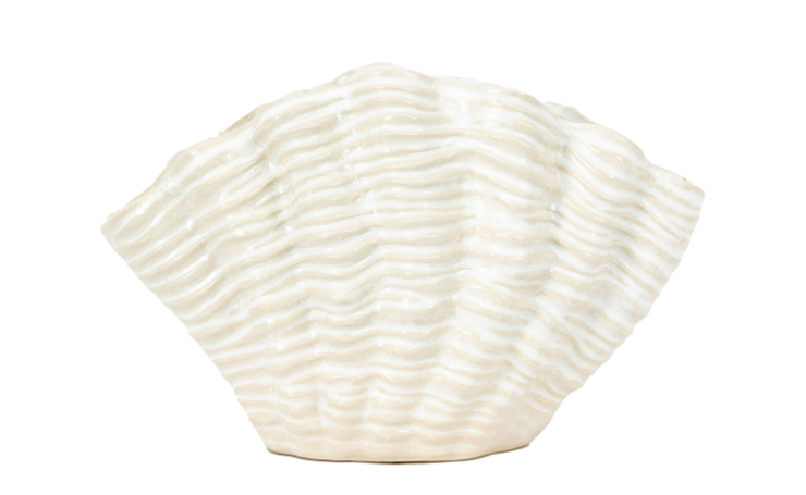 Clam Vase Collection