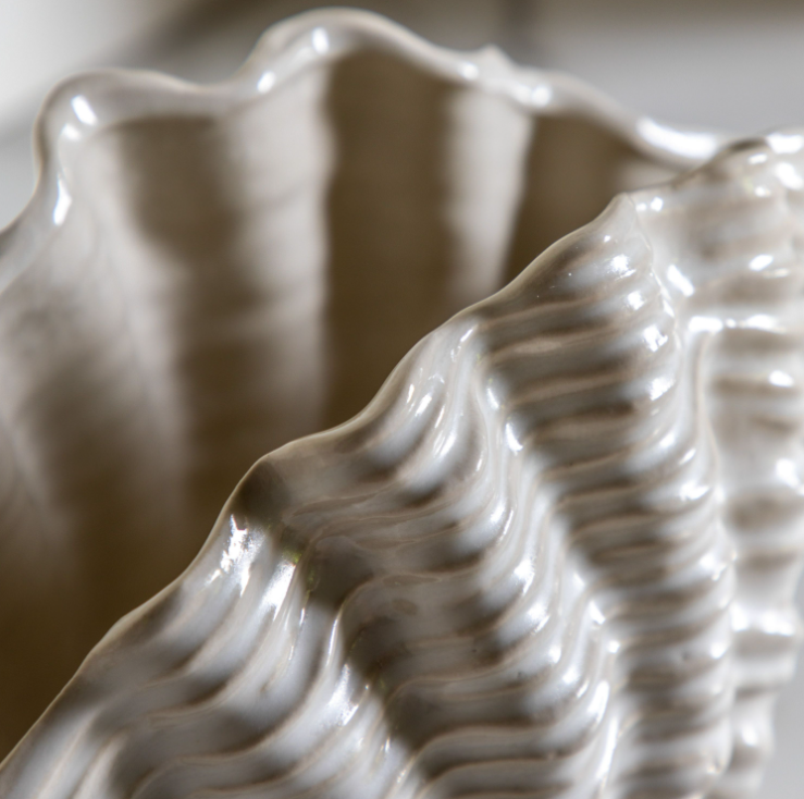 Clam Vase Collection