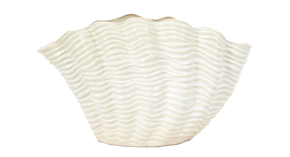 Clam Vase Collection