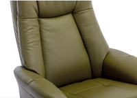 Hawaii Swivel Recliner - Olive Green Leather