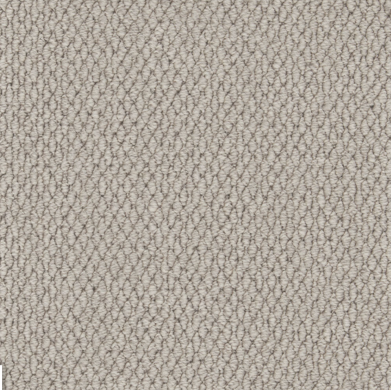 Easy Living Textures Carpet