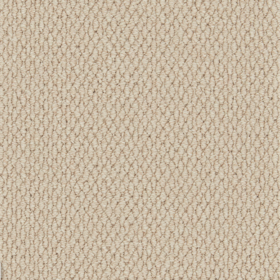 Easy Living Textures Carpet