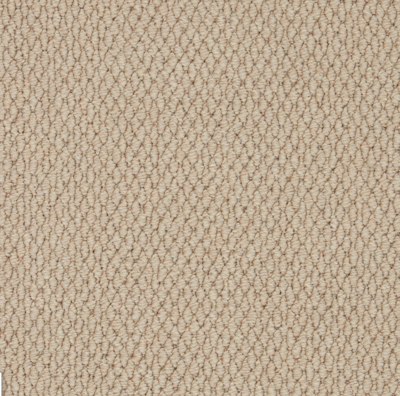 Easy Living Textures Carpet