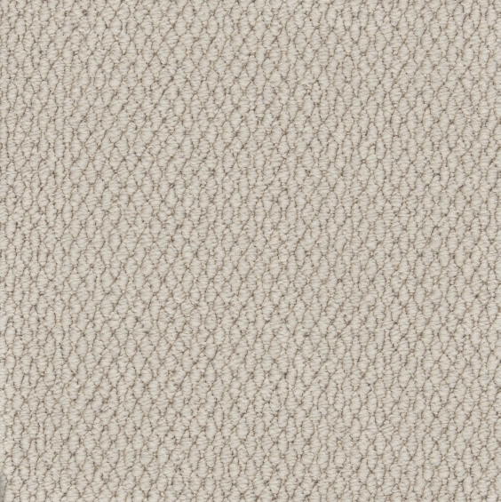 Easy Living Textures Carpet
