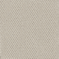Easy Living Textures Carpet