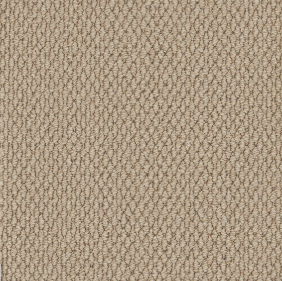 Easy Living Textures Carpet