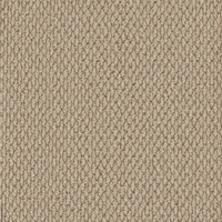 Easy Living Textures Carpet