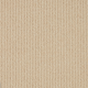 Easy Living Textures Carpet