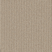 Easy Living Textures Carpet