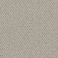 Easy Living Textures Carpet
