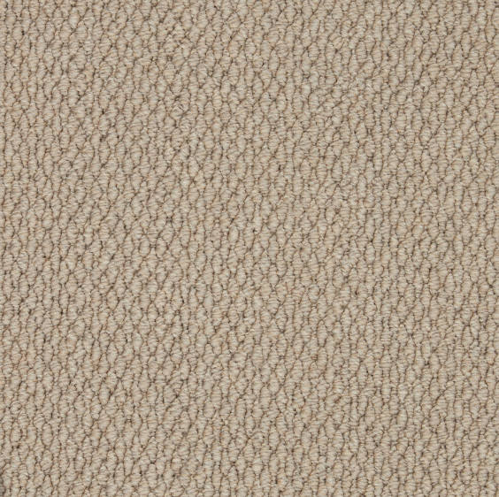 Easy Living Textures Carpet
