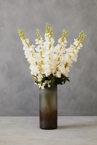 Chiari Vase Collection - Various Colours