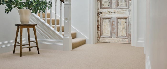 Spectrum Trends Carpet