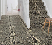 Alternative Flooring - Quirky Zebo Carpet