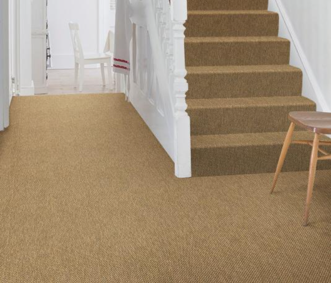 Alternative Flooring - Anywhere Panama Carpet