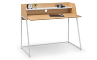 Palmer Desk