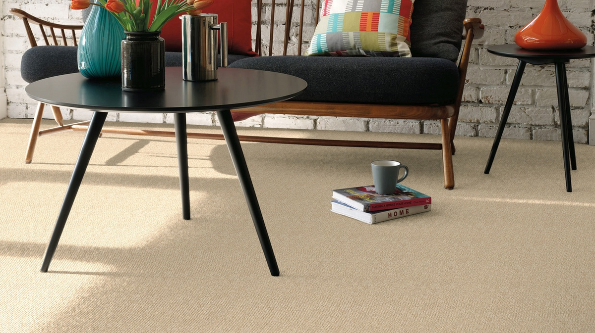 Discovery Carpet