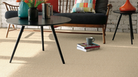 Discovery Carpet