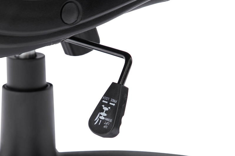 Holden Office Chair - Black
