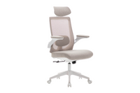 Zeke Ergonomic Office Chair - Natural
