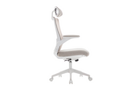 Zeke Ergonomic Office Chair - Natural