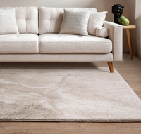 Mirage Rug Collection - Multiple Styles Available