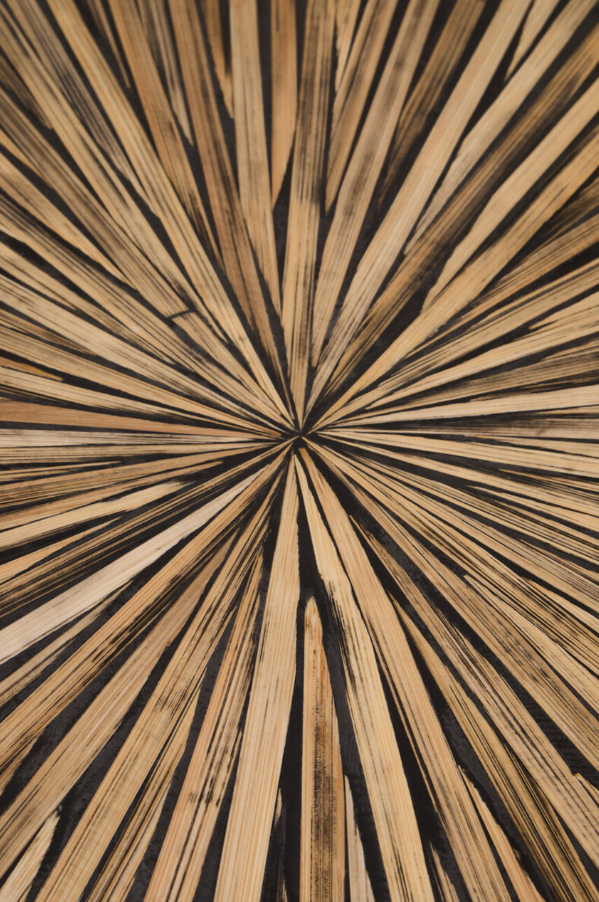 Bambusa Bamboo Living Collection