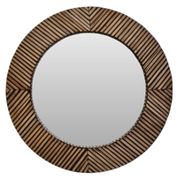 Bambusa Bamboo Living Collection