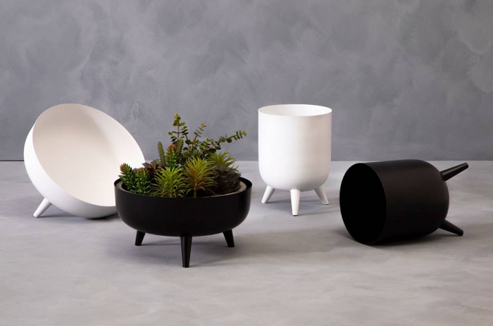 Alina Vase Collection