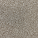 Smart Zenith Carpet