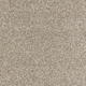 Smart Zenith Carpet