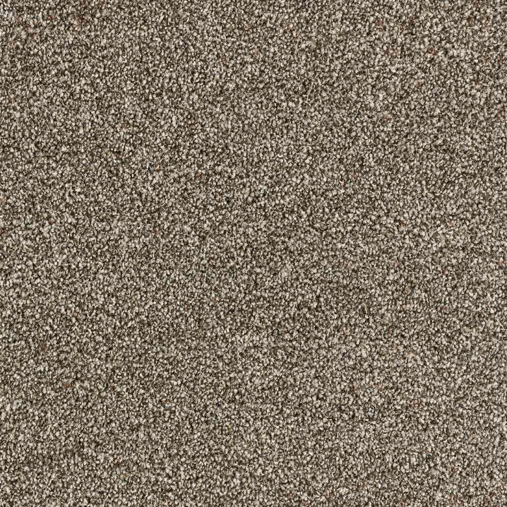 Smart Zenith Carpet