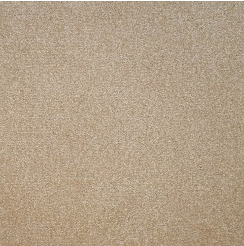 Eminence Carpet