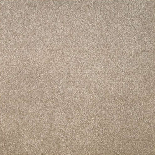Eminence Carpet